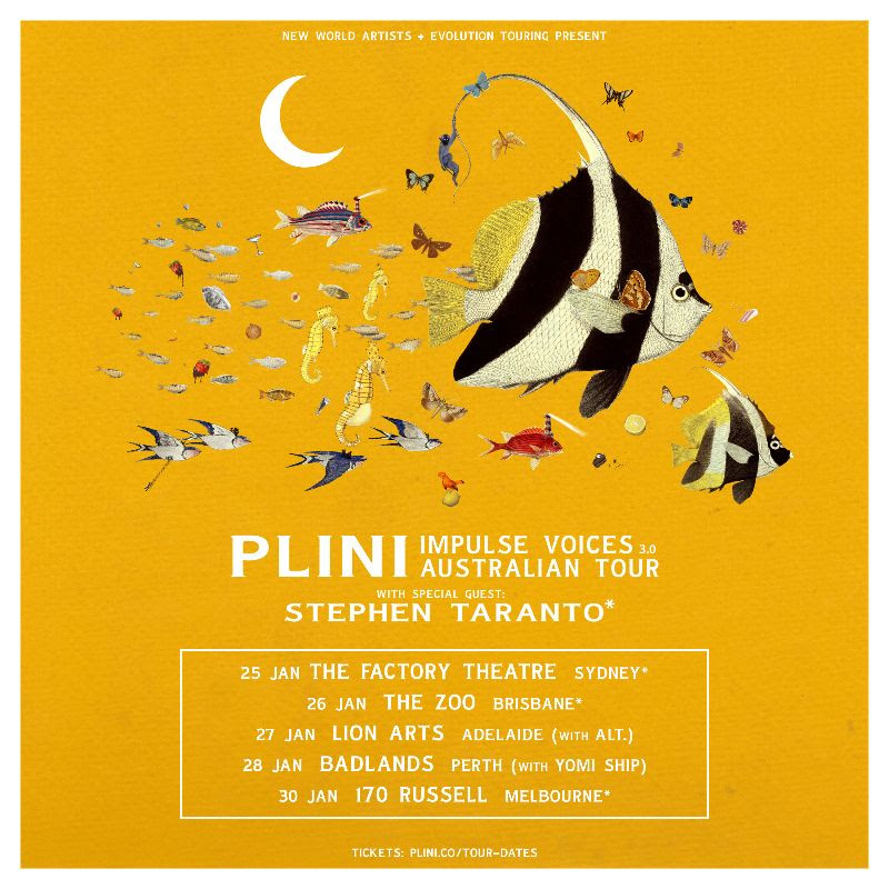 Plini