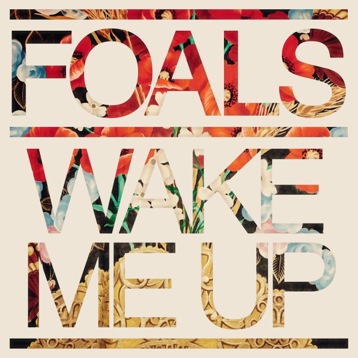 Foals