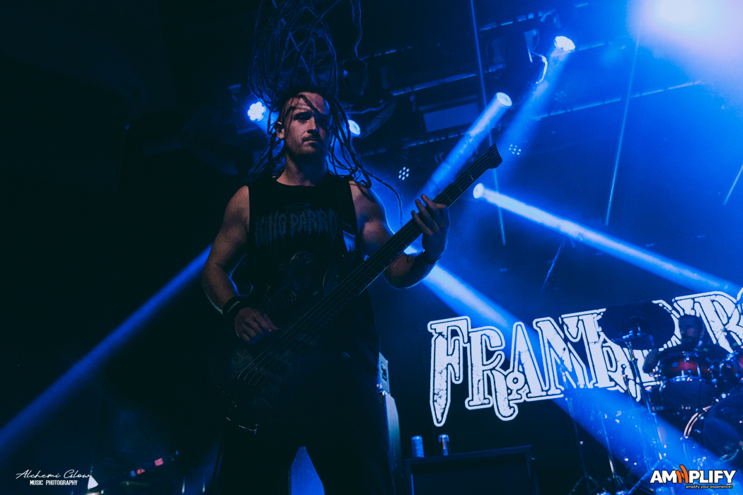 Frankenbok