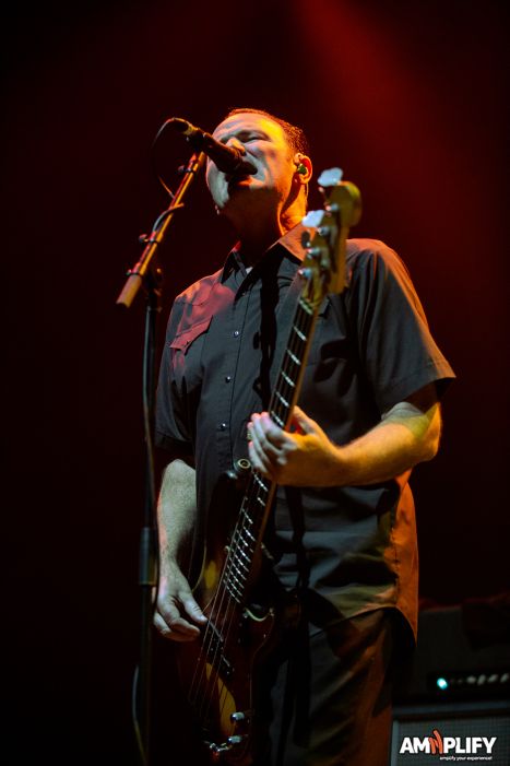 Social Distortion