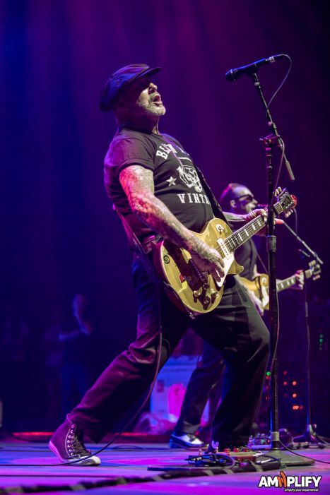Social Distortion