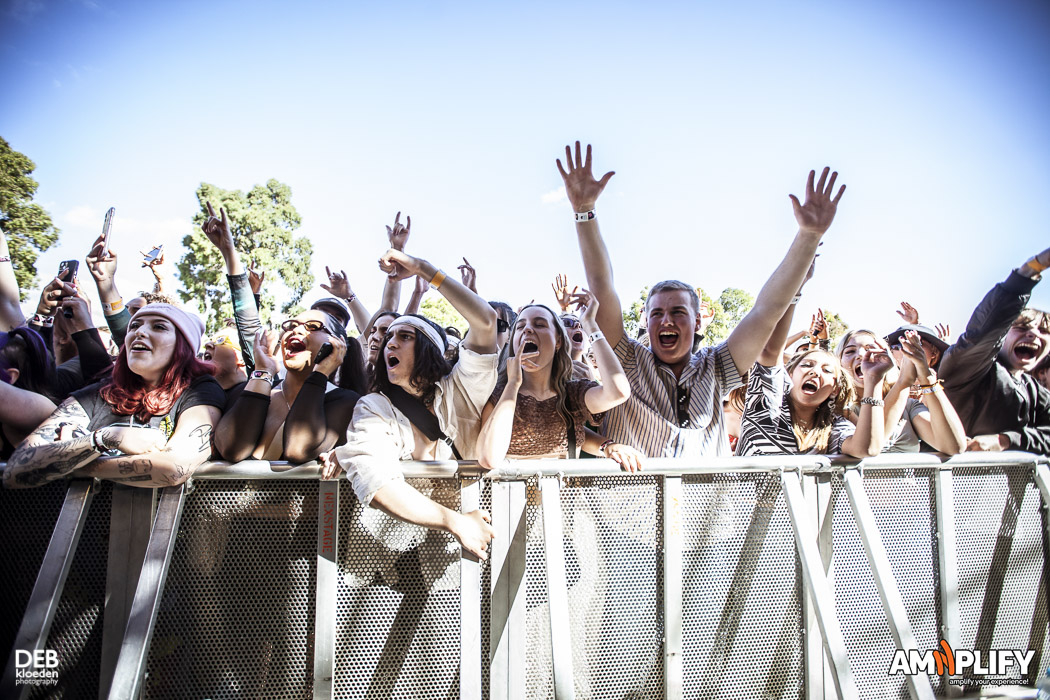 Crowd