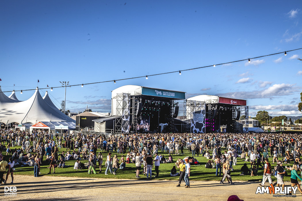 Groovin The Moo