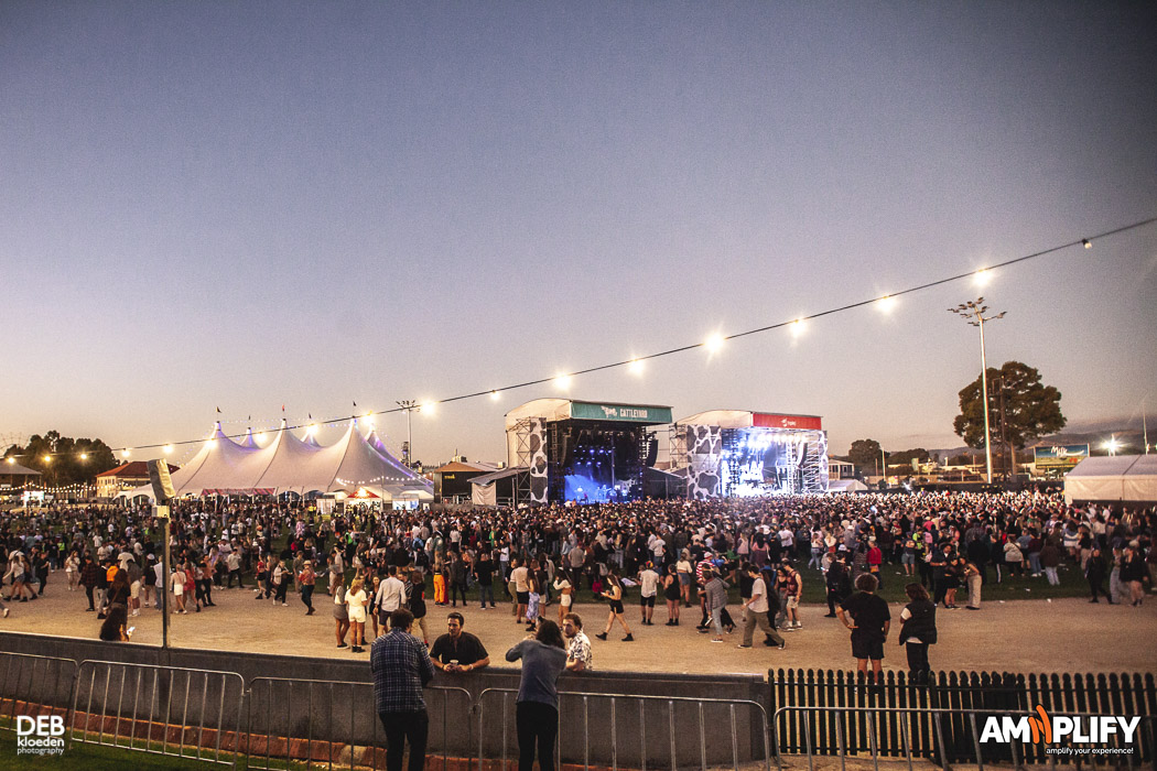 Groovin The Moo