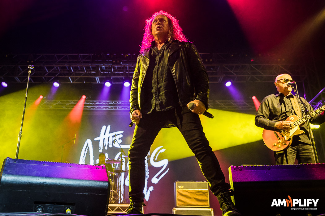 The Angels