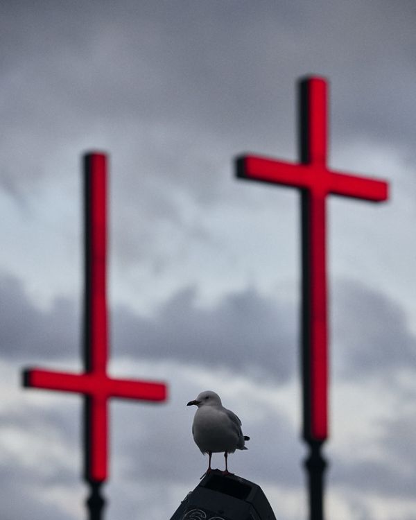 Dark Mofo