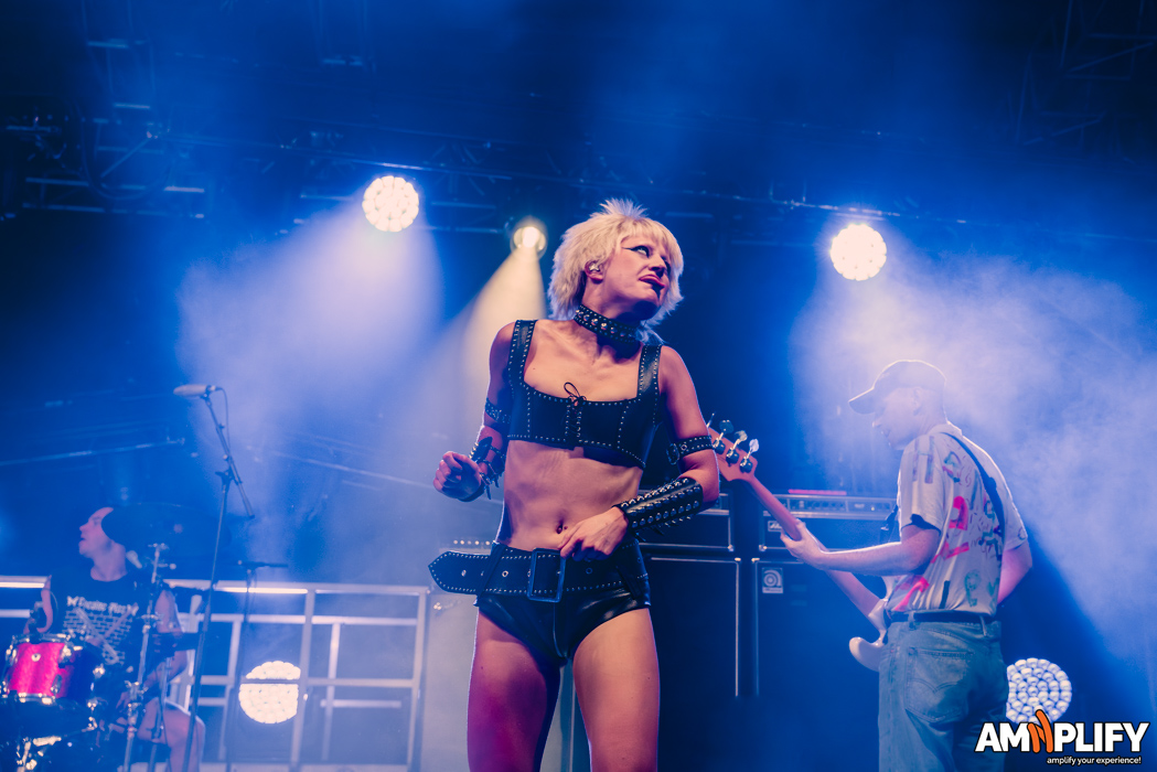 Amyl and the Sniffers