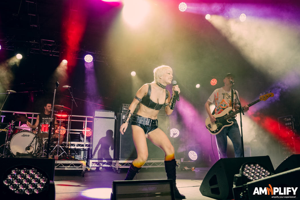Amyl and the Sniffers