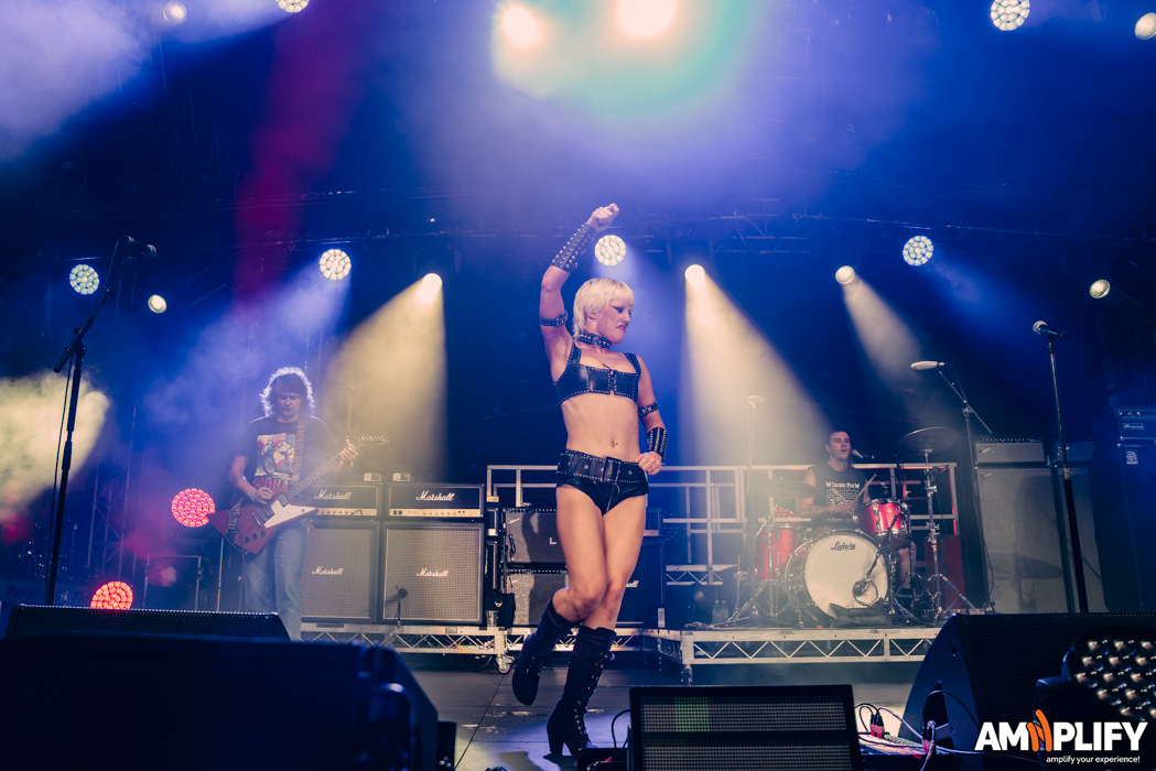 Amyl and the Sniffers