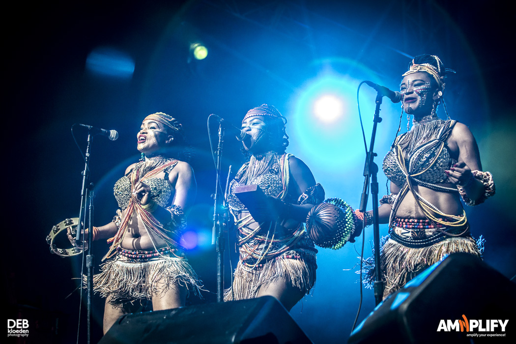 Femi Kuti & The Positive Force
