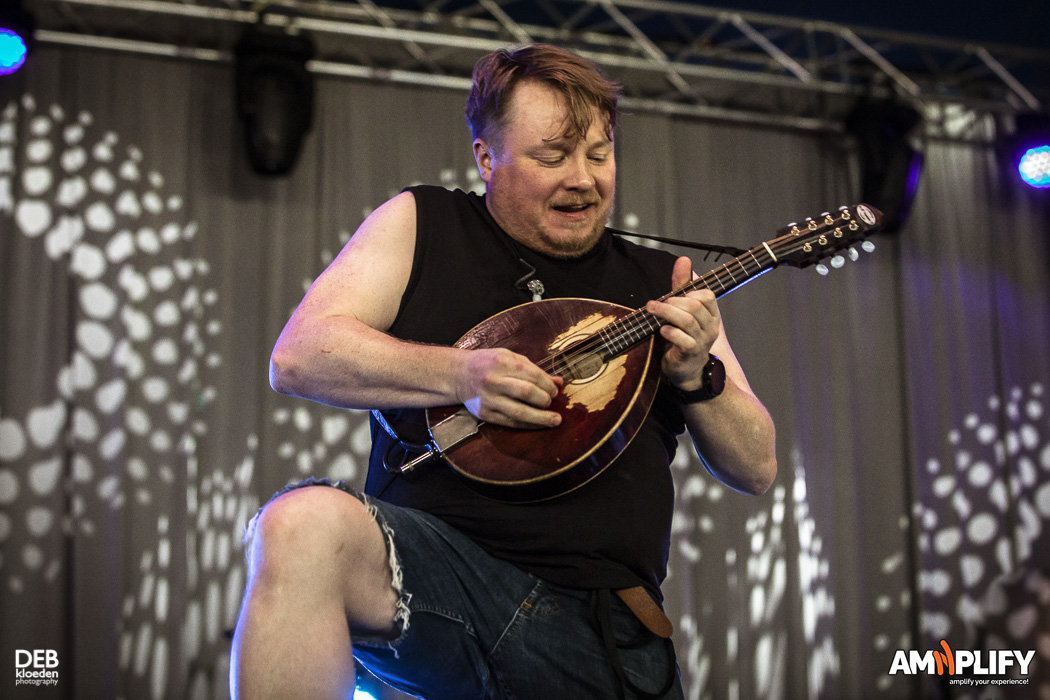 Steve ‘N’ Seagulls