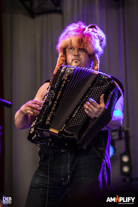 Steve ‘N’ Seagulls