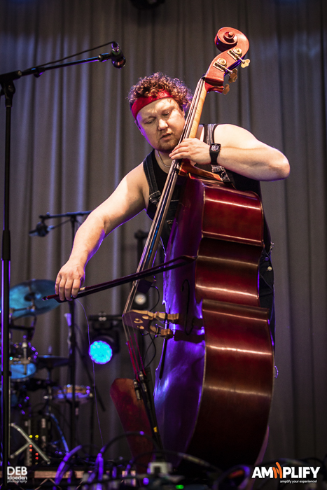 Steve ‘N’ Seagulls