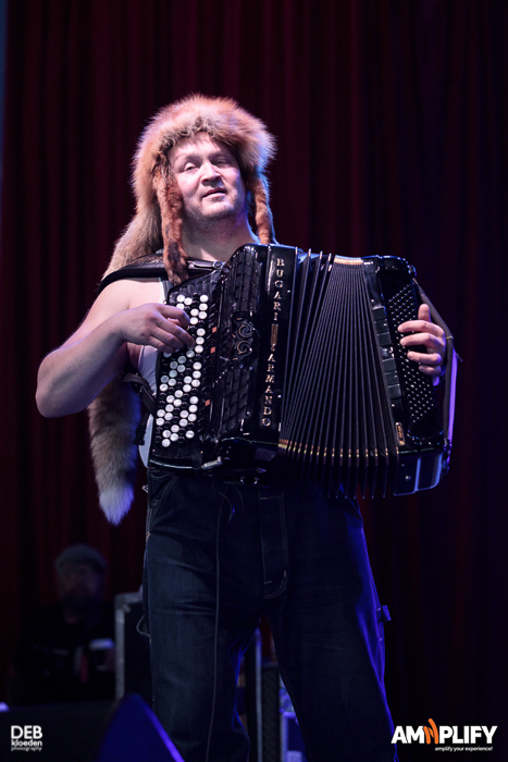 Steve ‘N’ Seagulls