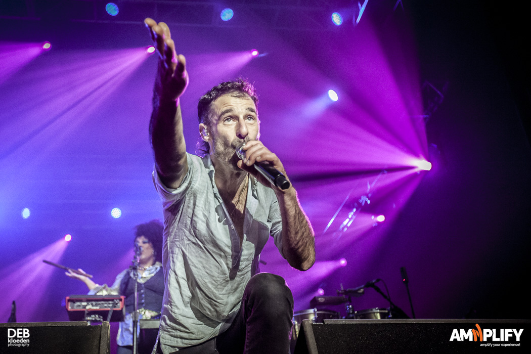 The Cat Empire
