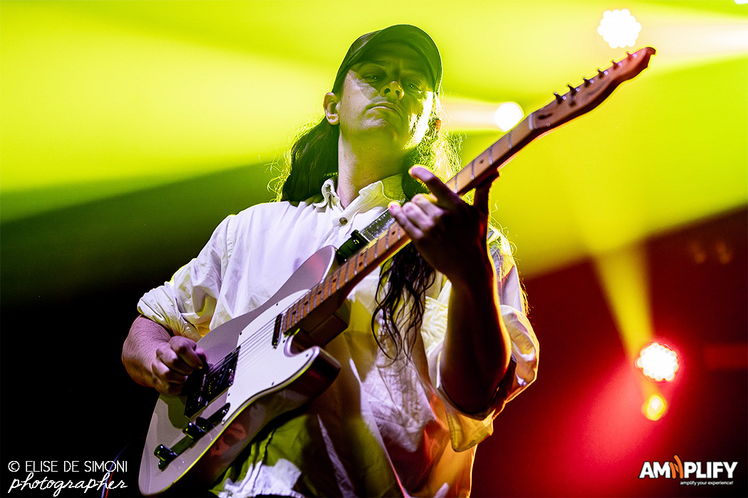 Beach Fossils