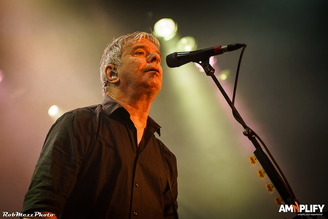 THE STRANGLERS
