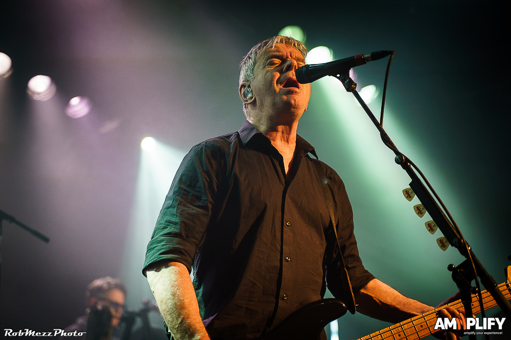 THE STRANGLERS