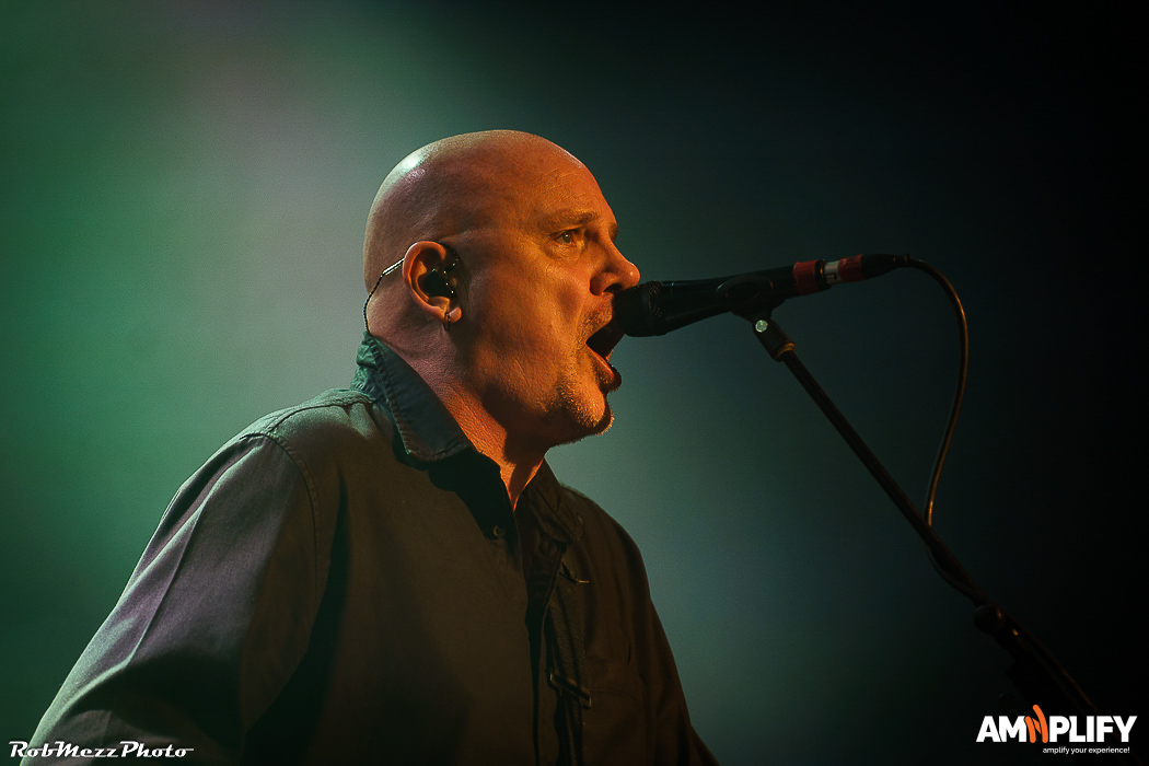 THE STRANGLERS