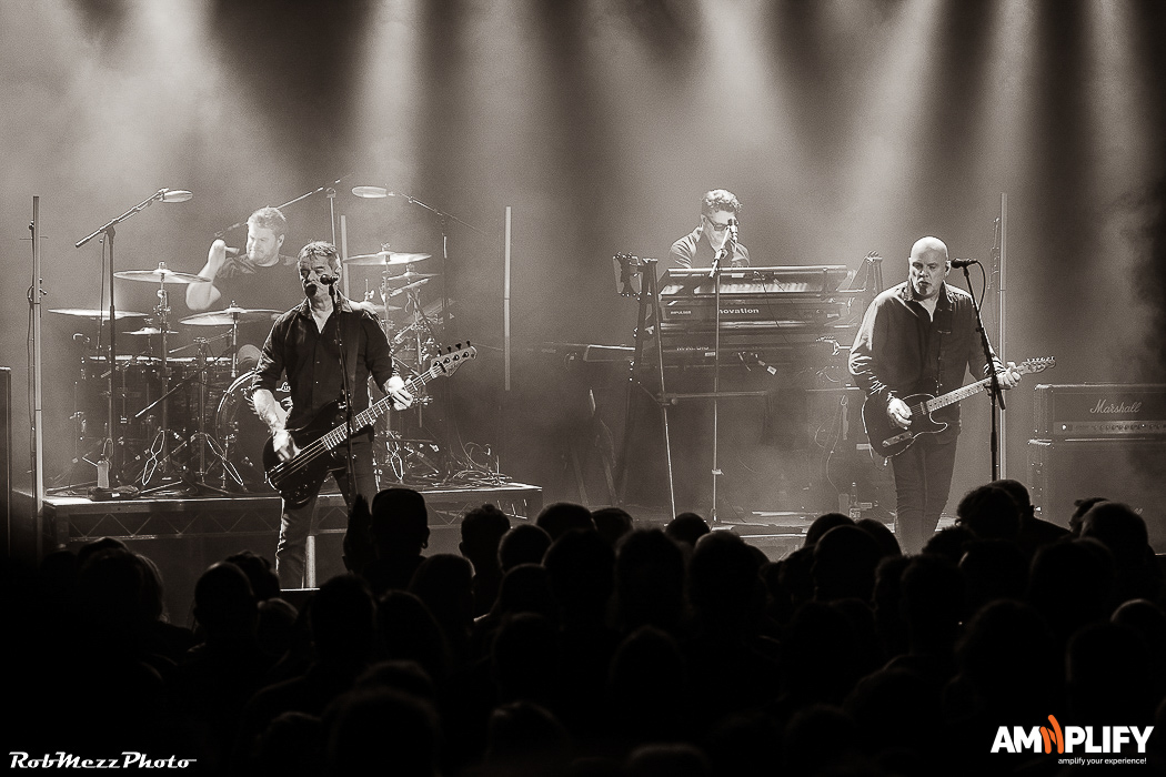 THE STRANGLERS