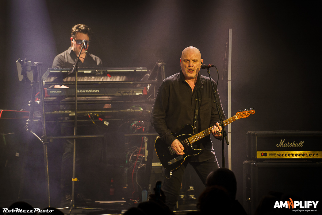 THE STRANGLERS