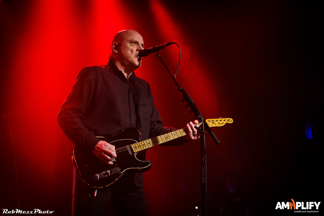 THE STRANGLERS