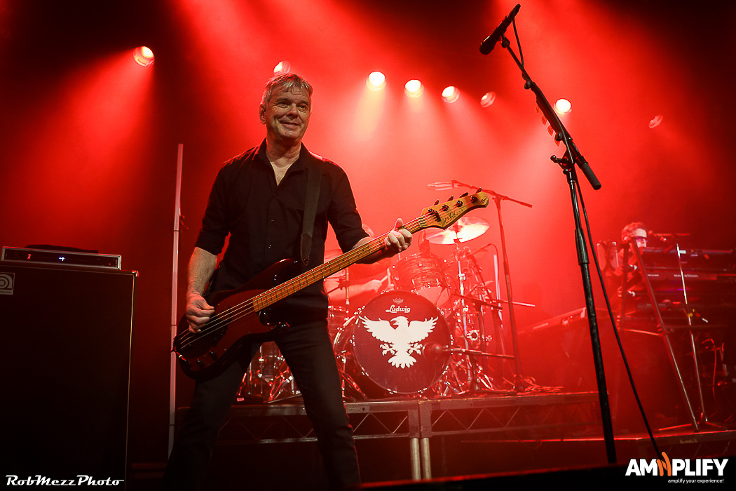 THE STRANGLERS