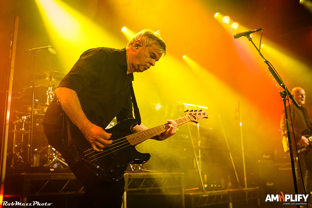THE STRANGLERS