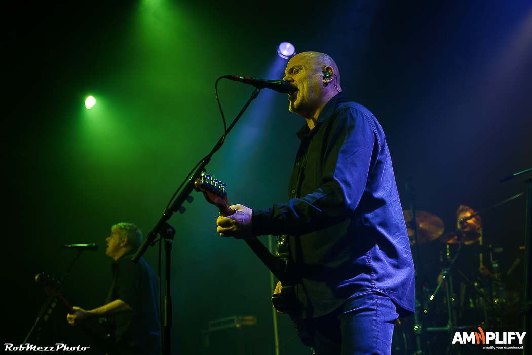 THE STRANGLERS