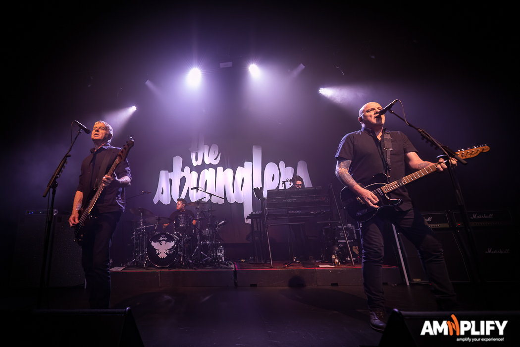THE STRANGLERS