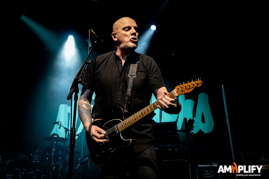 THE STRANGLERS