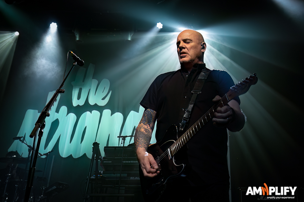 THE STRANGLERS