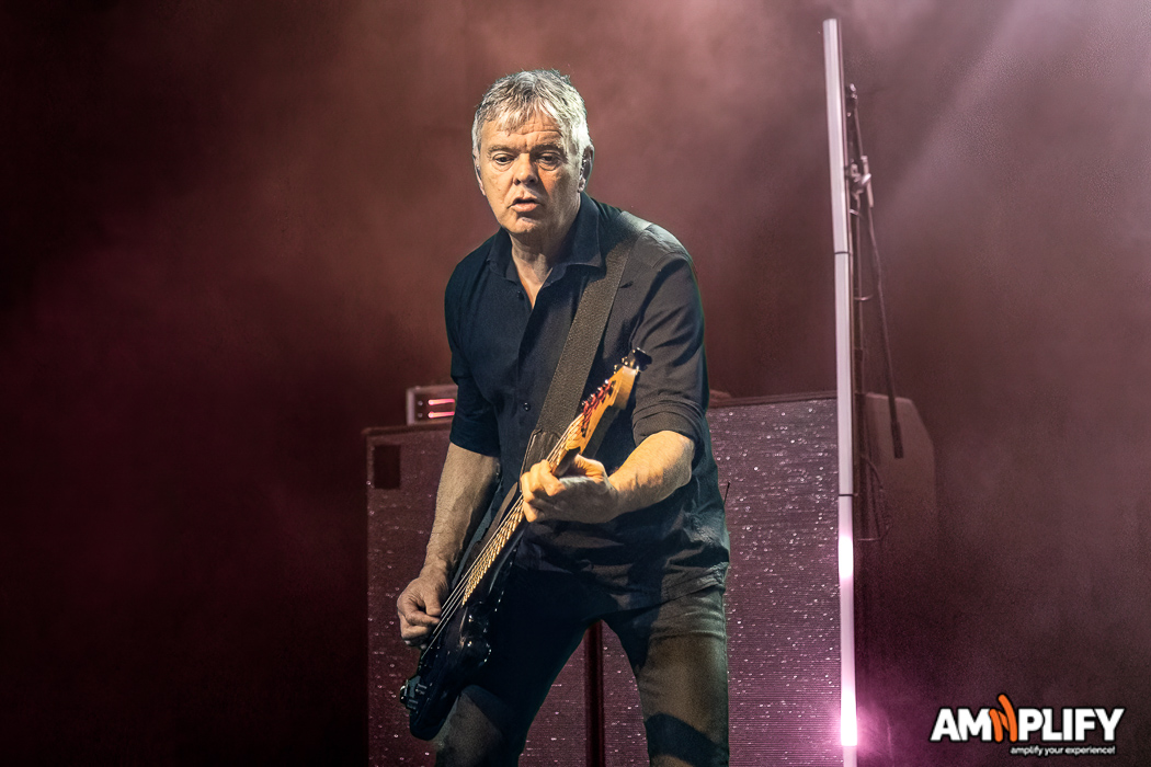 THE STRANGLERS