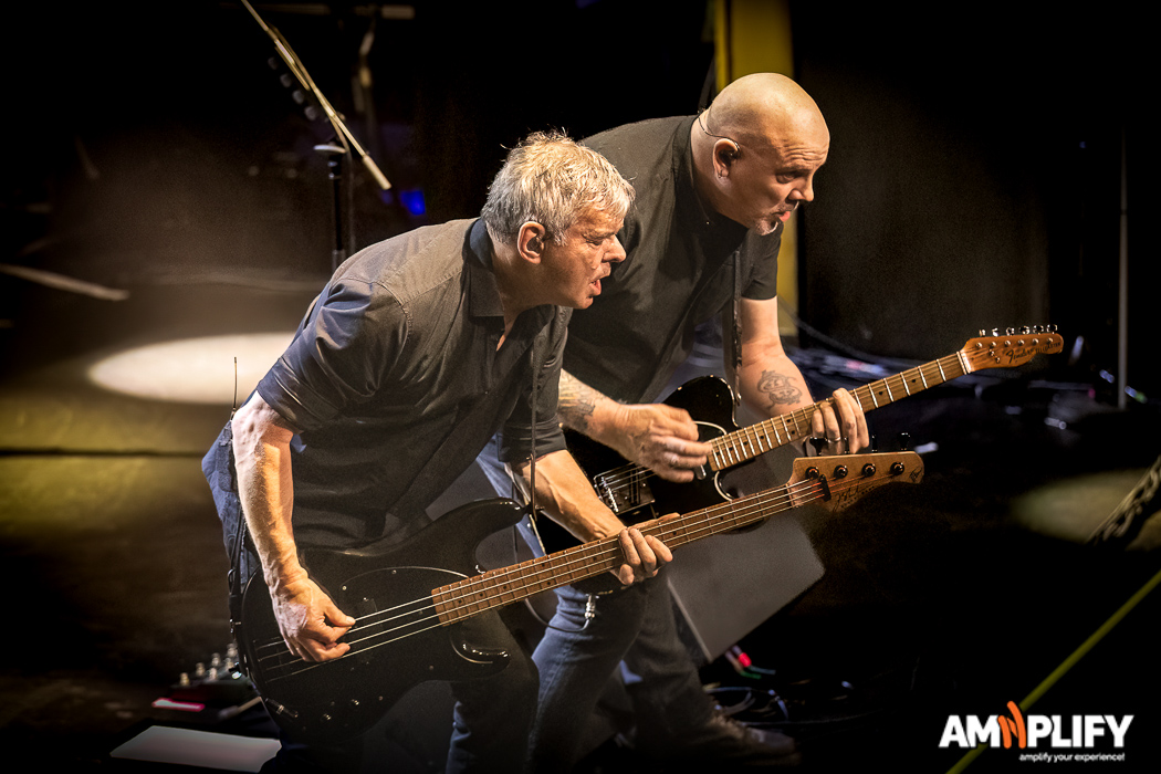THE STRANGLERS