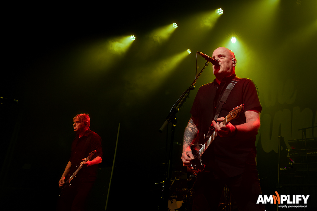 THE STRANGLERS
