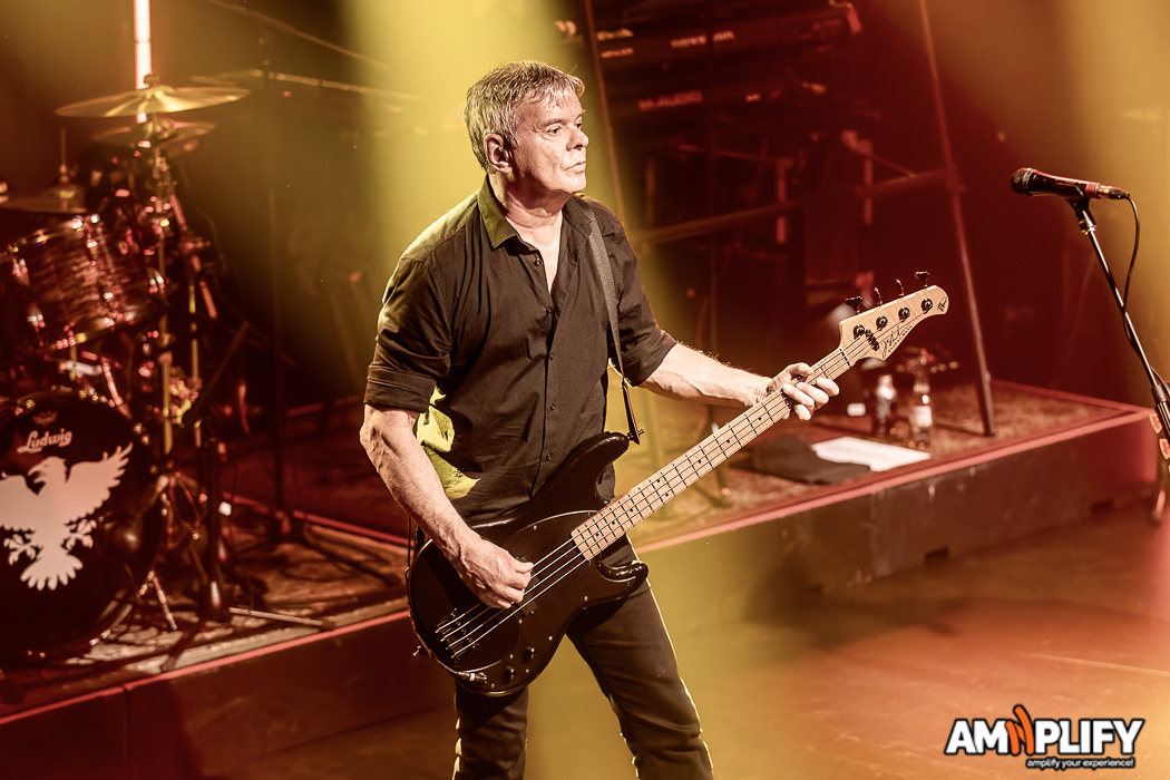 THE STRANGLERS