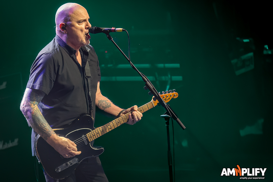 THE STRANGLERS