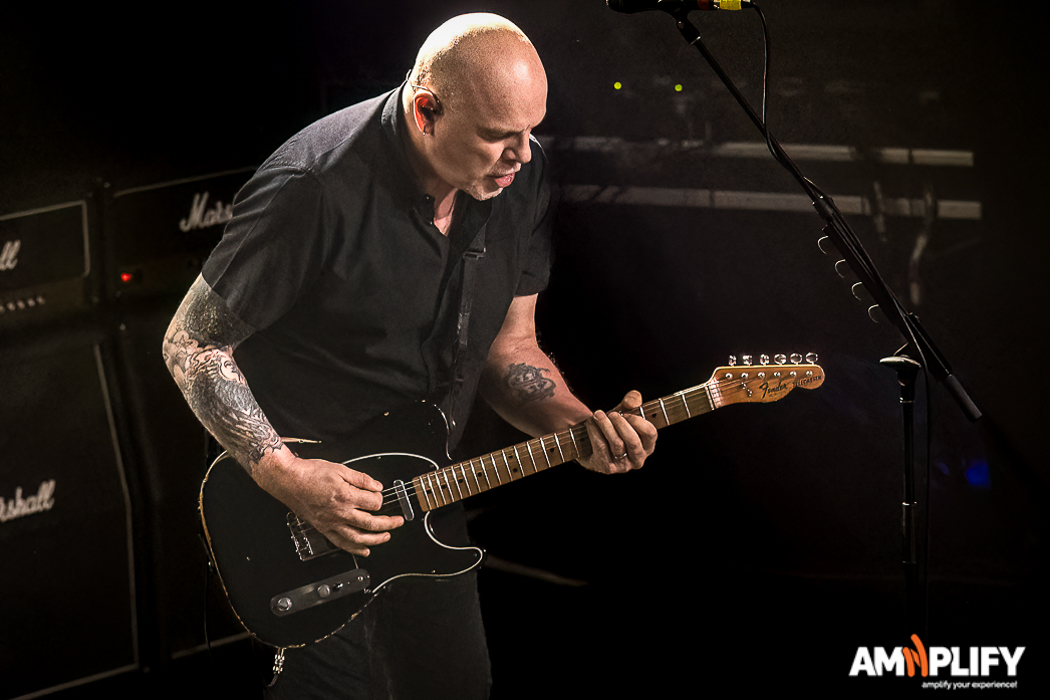 THE STRANGLERS