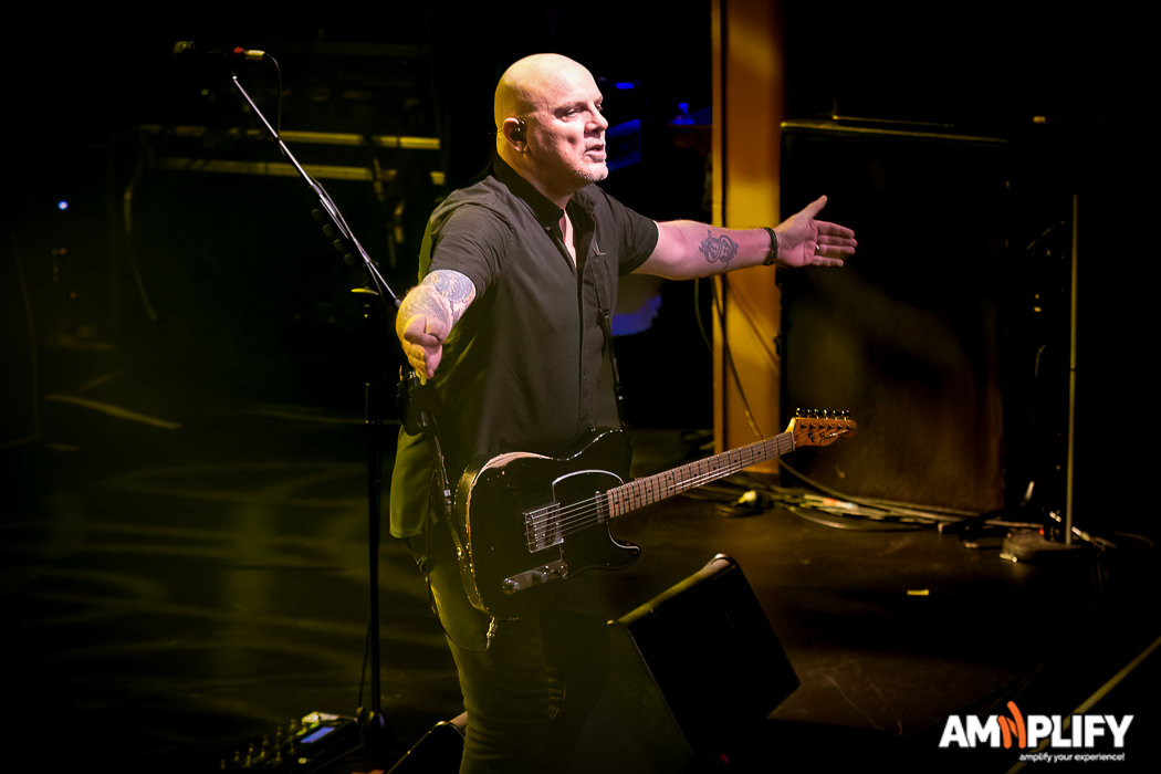 THE STRANGLERS