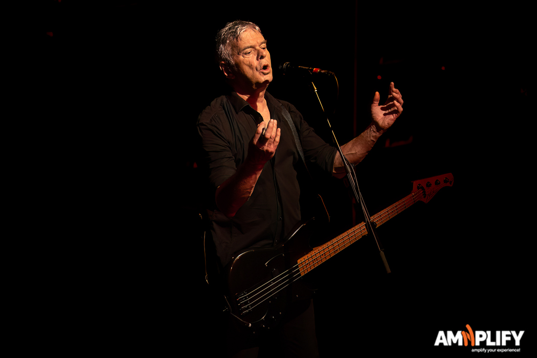 THE STRANGLERS