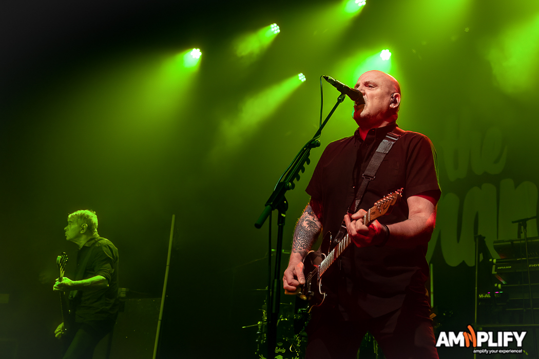 THE STRANGLERS