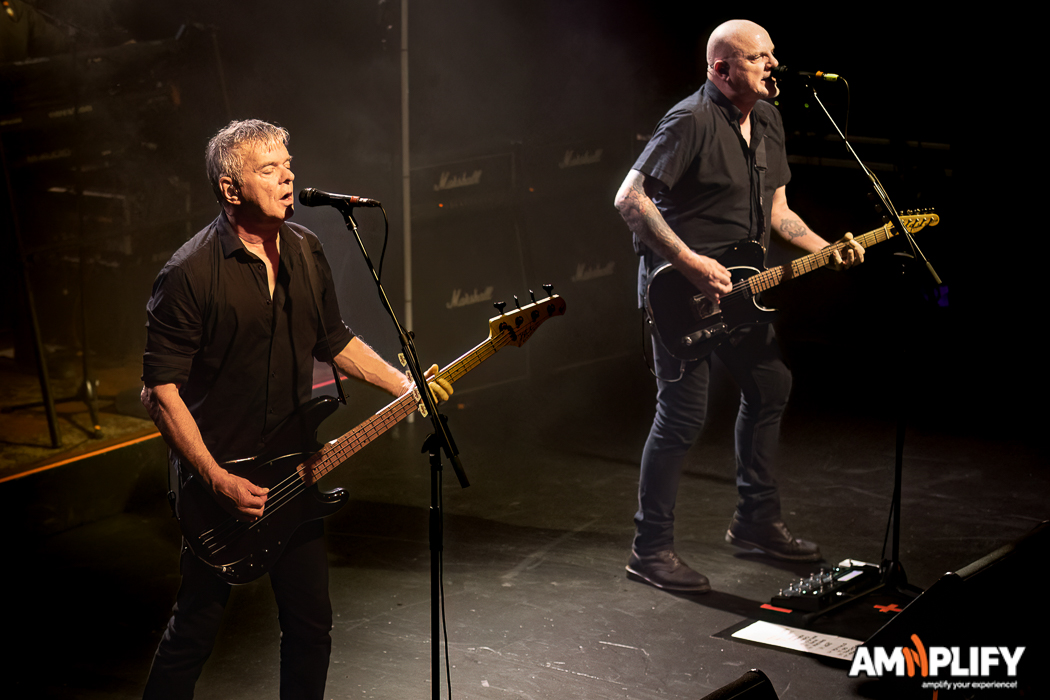 THE STRANGLERS