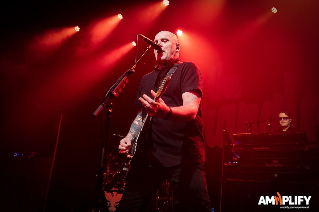 THE STRANGLERS