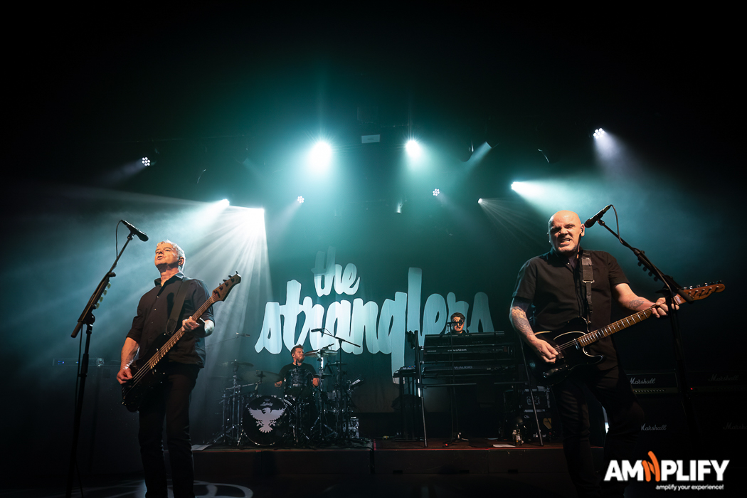 THE STRANGLERS