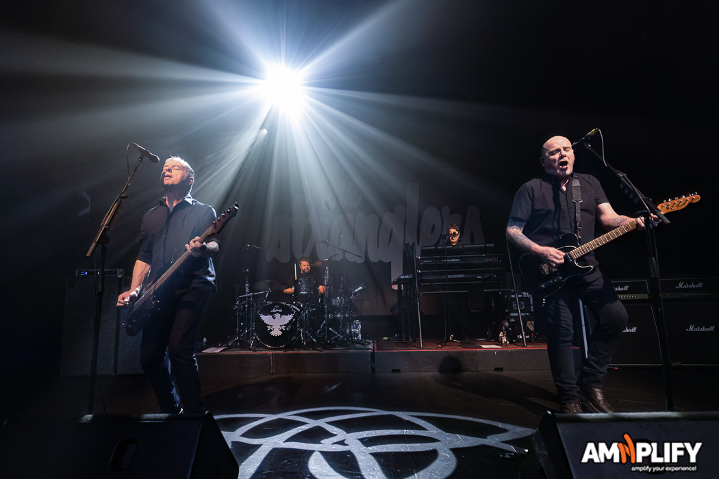 THE STRANGLERS