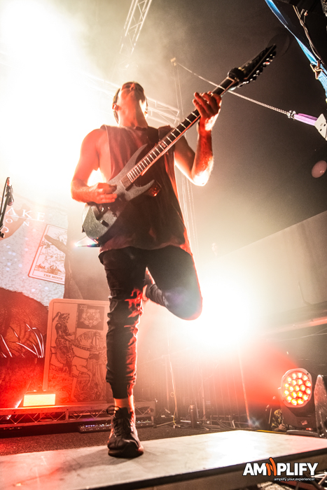 In Hearts Wake