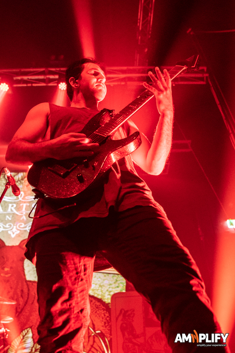In Hearts Wake