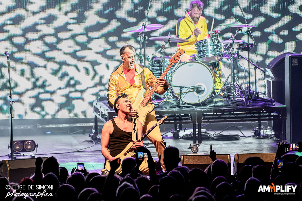Regurgitator