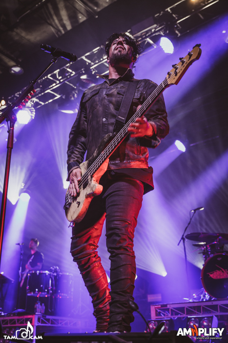 PAPA ROACH