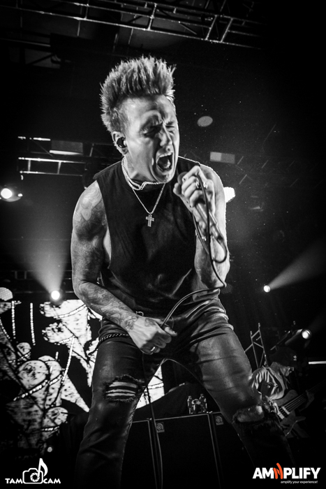 PAPA ROACH